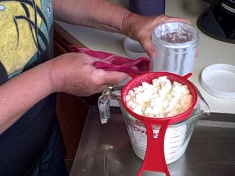 Storing Kefir Grains