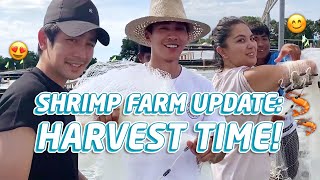 PALAYA SHRIMP FARM UPDATES + JOSHUA &amp; RIA TRY HARVESTING THE SHRIMPS! | Enchong Dee