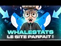 Whalestats  le site crypto  absolument connatre 
