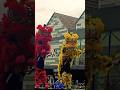 atraksi barongsai lion dance barongsai lion dance!!