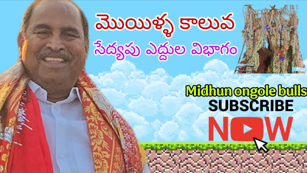 మొయిళ్ళ కాలువ సేద్యపు ఎద్దుల విభాగం 2సగిలి చెన్నకేశవరెడ్డి& బొగ్గుల రాము ఓబుల్ రెడ్డి