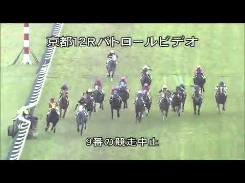京都12R　斜行した馬がラチに激突、ルメール落馬