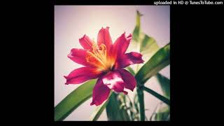 Girl Blo Bali - Boyderaz ft Shazza (Tropical House Remix)