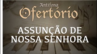 Video thumbnail of "Assúmpta est Maria in caelum | Antífona de Ofertório | Solenidade Assunção de Nossa Senhora"