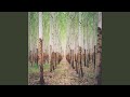Video thumbnail for Dusty Flourescent/Wooden..
