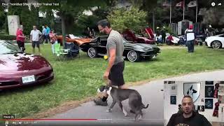 Trainer Certification with a Pitbull - Brad Tremblay PASS