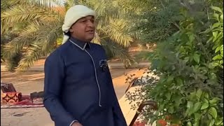الدكتور خالد الزعاق في المزرعة يتحدث عن الطاؤوس وتغطية لمتجر زاد الشرق رهايف