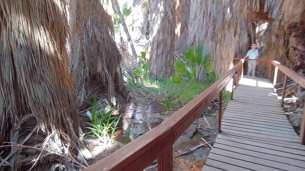 Thousand Palms Preserve , California YouTube