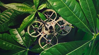 a few clips with the 75