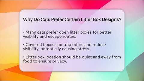 Why Do Cats Prefer Certain Litter Box Designs? | Happy Cat Handbook