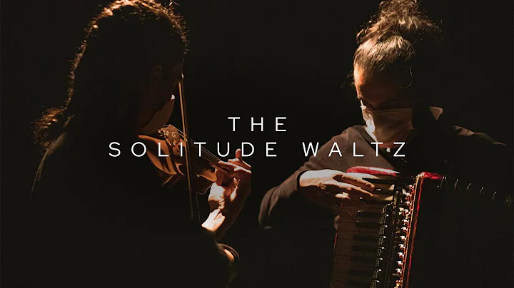 The Solitude Waltz - Mehrdad Mehdi & Pouyan Zadmajid