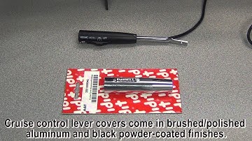 Customization Options for Your Column