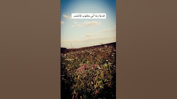 فدعا ربه أني مغلوب فأنتصر🌱 تلاوه خاشعة جداً🌱 الشيخ عبد الرحمن الجريذي 🌱حالات واتس اب 🌱
