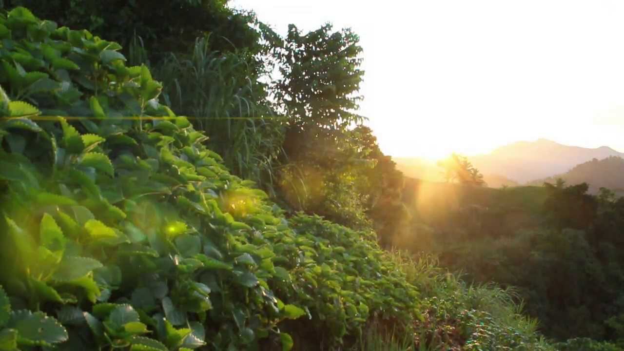 S.L.A.G.I.A.T.T Reel