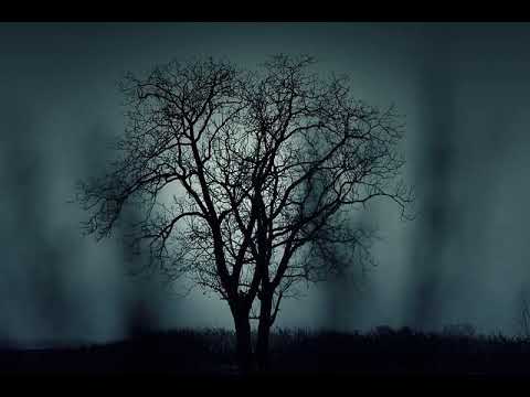 Mp3 Klingelton Download Mp3 Klingelton Download