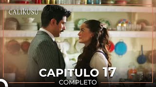 Calikusu 17 Capítulo