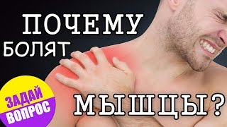 Почему болят мышцы после тренировки? ❤ Задай вопрос(Подпишись! ☛ https://www.youtube.com/channel/UC7p1iV9BPHd4N_j592ig1QQ?sub_confirmation=1 ✦✦✦✦✦ Почему болят мышцы после тренировки?, 2016-12-20T14:51:38.000Z)