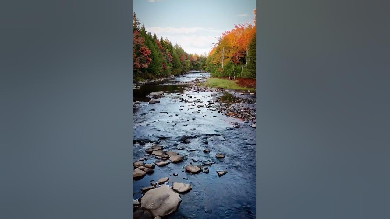Fall in Tucker County, West Virginia! YouTube