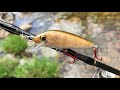 ULTRALIGHT Trout Fishing with Curly Maple Crankbait