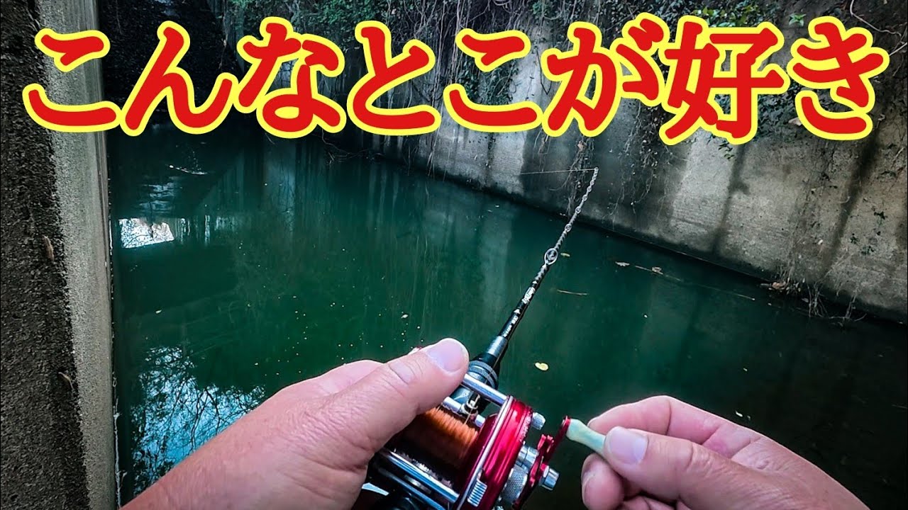 こんなとこが好きって話【fishing in Japan】
