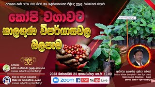 කෝපි වගාවට කාලගුණික විපර්යාසවල බලපෑම