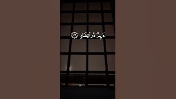 تلاوات من القرآن الكريم