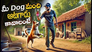 Best Calcium Booster For Pet Dogs And Puppys // Calcimust Pet Full Review In Telugu
