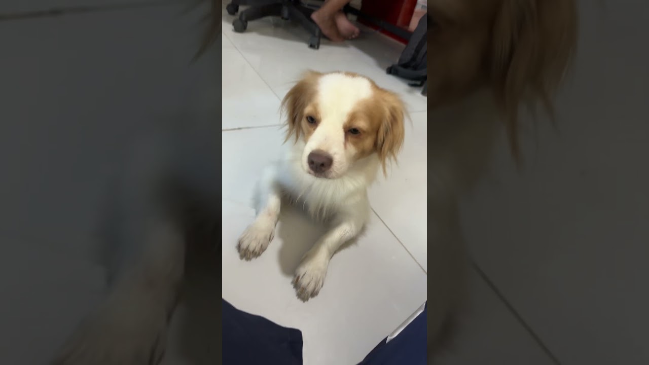 Полное видео ниже 