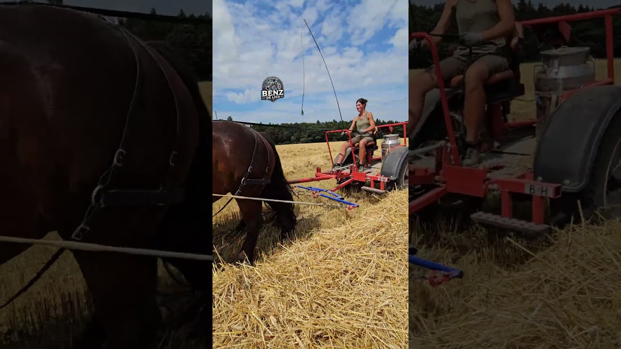 Die 2 PS Agrar Lady👢🐴💯🐎