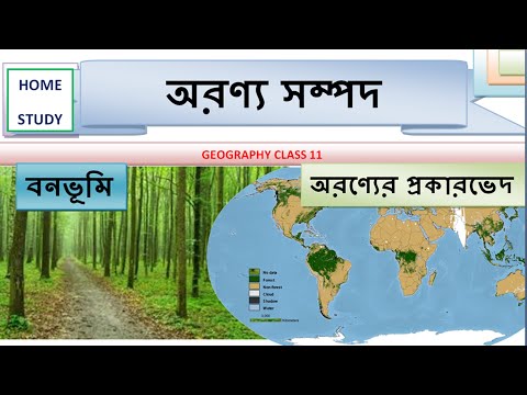 অরণ্য সম্পদ [] অরণ্যের প্রকারভেদ  [] সম্পদ ব্যবহার [] বনভূমি ব্যবহার Class 11 geography