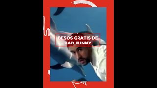 Besos Gratis De Bad Bunny