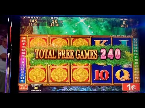 Estaba clausurado desde enero: decomisan máquinas tragamonedas en casino ilegal