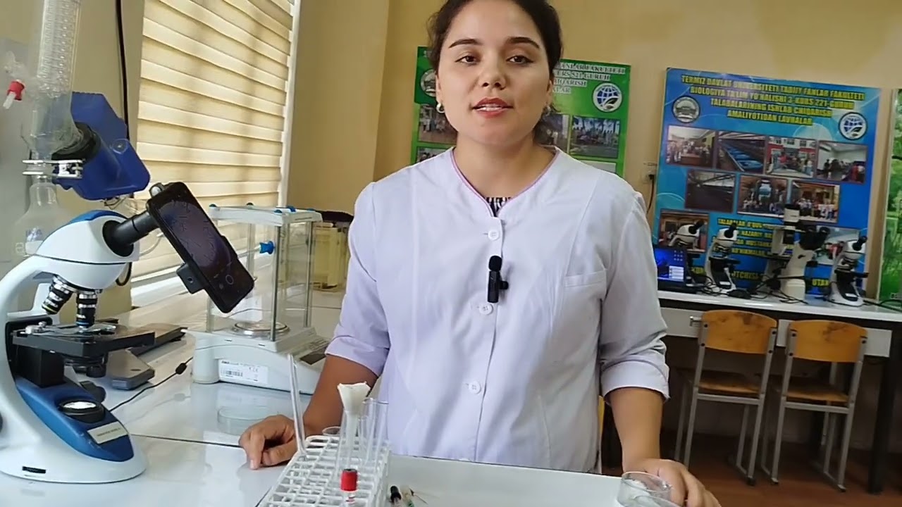 O'simlik kuli tarkibidagi elementlarni aniqlash