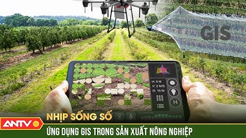 Ứng dụng GIS trong sản xuất nông nghiệp | Nhịp sống số | ANTV