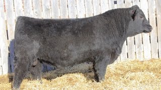 Lot 1 - MAR Ten X 403