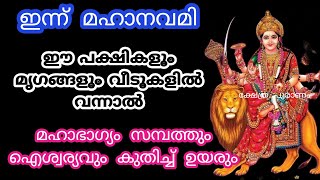 ഇന്ന് ഈ ജീവികൾക്ക് ആഹാരം നൽക്കിയാൽ നവരാത്രി ധനം ഇരട്ടിക്കും.navaratri 2023... navaratri..good omens screenshot 5