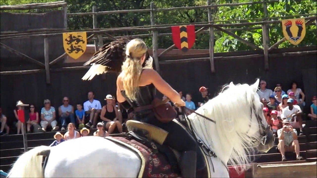 spectacle rapaces zoo d'Amnéville