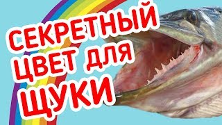 СЕКРЕТНЫЙ цвет приманки на ЩУКУ! Рыбалка на микроджиг с берега.