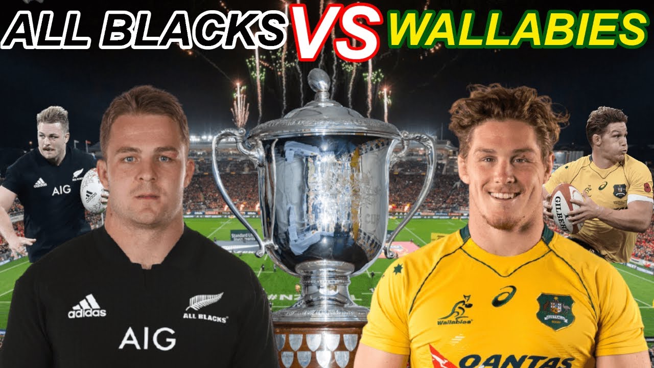 ALL BLACKS vs WALLABIES Bledisloe Cup 2nd Test Match Live Reaction (Not Showing Game)