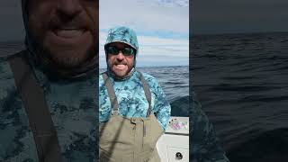 DO YOU THING THESE JIGS ARE GOING TO WORK?? #fishing