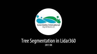 LiDAR360 | Individual Tree Segmentation screenshot 2