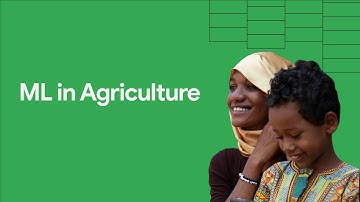 Nazirini’s story - using machine learning to tackle crop disease