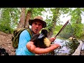 Baby duckling  bass fishing underwater view