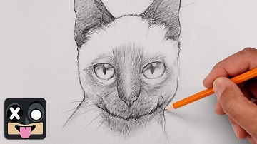 How To Draw a Siamese Cat | Step by Step Art Lesson for Beginners