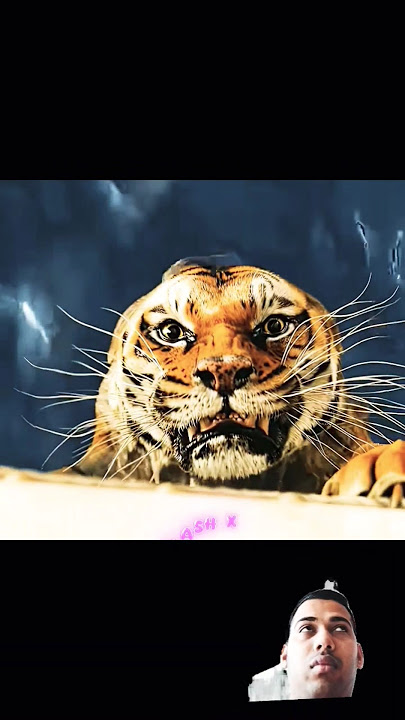 Now I see, Richard Parker… not a beast... but my last hope.