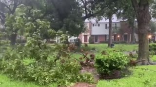 Examining Hurricane Beryl's toll on emotional, mental health