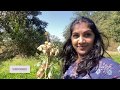 మా పల్లెటూరు మా పొలాలు || My Village Vlog || Sukanya Telugu Vlogs