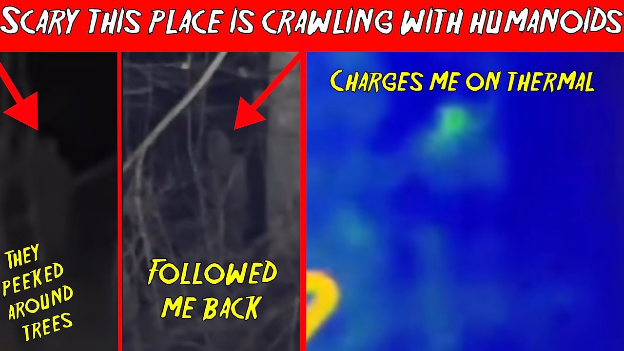 ￼”INCREDIBLE” BIGFOOT SHOWS OFF ITS SPEED ON THERMAL live!