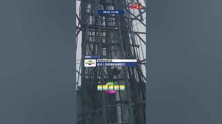 【猫咪困电讯塔尖端  技术人员用滑轮绳索救它】