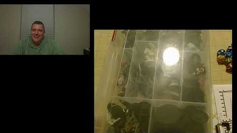 Vampire (V20) DC By Night Too - Session 3 - Cutting your teeth...